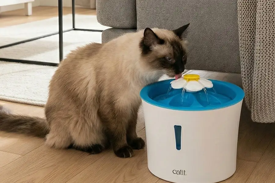 catit-fountain-review